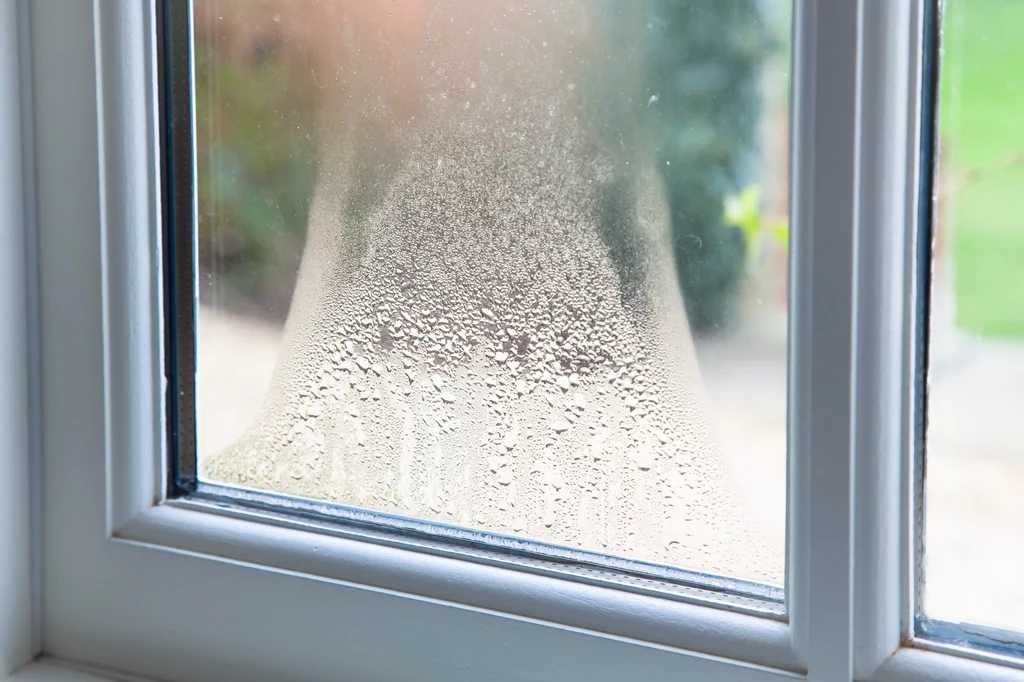 Zaparowane okna często są sygnałem, że poziom wilgoci w domu jest zbyt wysoki. Tego ostrzeżenia nie wolno nam lekceważyć