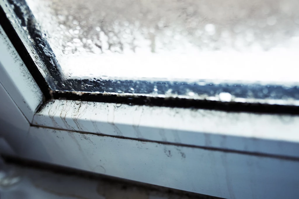 Parowanie okien w perspektywie czasu może przyczynić się do rozwoju bakterii i grzybów