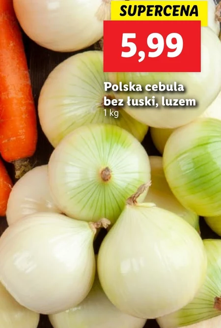 Cebula Ryneczek Lidla