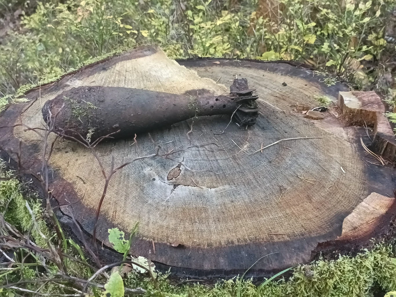 Niewybuch okazał się aktywnym pociskiem moździerzowym kal. 82 mm z okresu II wojny światowej. Mężczyzna, który go znalazł miał ogromne szczęście, że nic mu się nie stało Niewybuch okazał się aktywnym pociskiem moździerzowym kal. 82 mm z okresu II wojny światowej. Mężczyzna, który go znalazł miał ogromne szczęście, że nic mu się nie stało