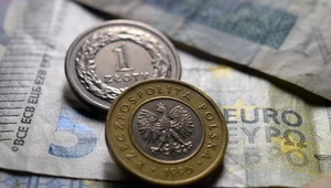 Ekonomiści zwracają uwagę, że w Polsce praktycznie zamarła dyskusja na temat przyjęcia euro