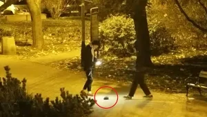 Nastolatkowie znęcali się nad jeżem