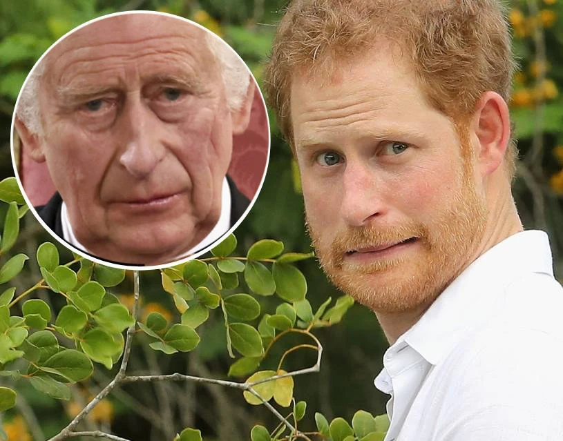 Książę Harry i król Karol Książę Harry i król Karol