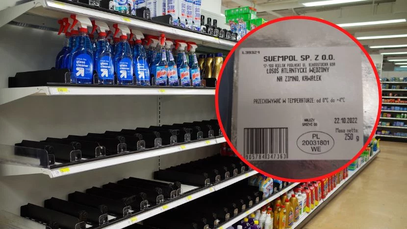 Bakterie wykryte w "łososiu Atlantyckim" Bakterie wykryte w "łososiu Atlantyckim"