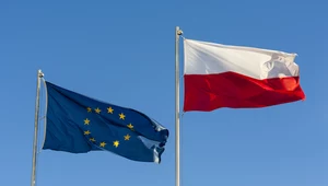 Polska dostanie miliony euro na fabrykę AI w Poznaniu