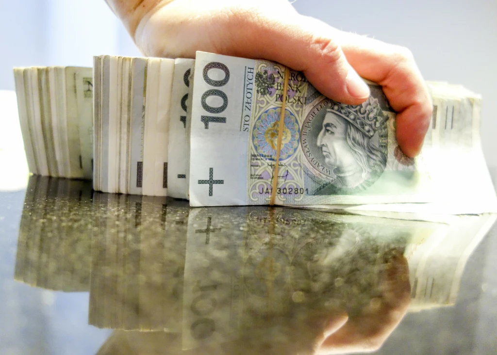 Aktywa finansowe Polaków w ujęciu brutto wzrosły o 9,3 proc. w 2021 roku