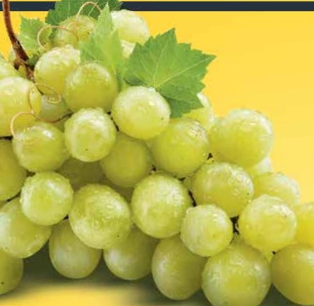 Winogrona - 40% TANIEJ! - promocja Netto - Ding.pl