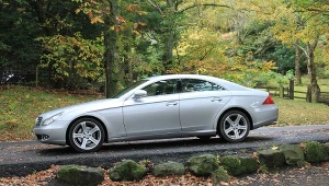 Zdjęcie ilustracyjne/65-latek podczas wyprawy na grzyby stracił prawo jazdy