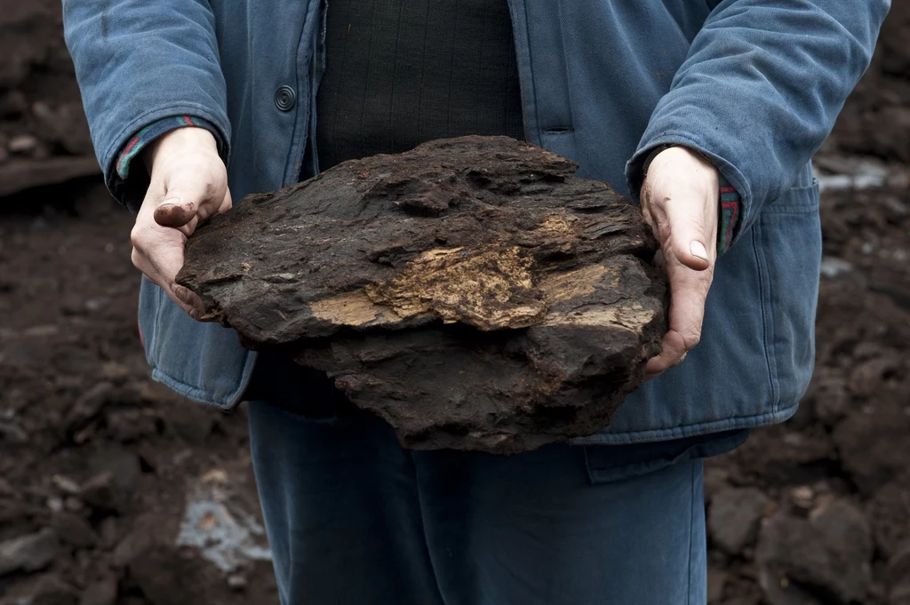Węgiel brunatny z kopalni w Bełchatowie i Turowie jest dostępny dla indywidualnych odbiorców. Czy warto się nim zainteresować i czym się różni od węgla kamiennego?