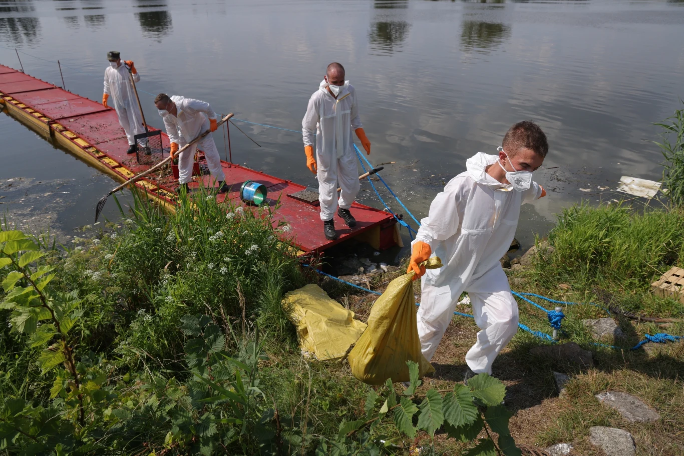 Wody Polskie chcą utworzyć inspekcję wodną, aby zapobiec katastrofom ekologicznym takim jak ta na Odrze. Przygotowywany jest też szereg innych rozwiązań, które mają pomóc w ochronie polskich rzek Wody Polskie chcą utworzyć inspekcję wodną, aby zapobiec katastrofom ekologicznym takim jak ta na Odrze. Przygotowywany jest też szereg innych rozwiązań, które mają pomóc w ochronie polskich rzek