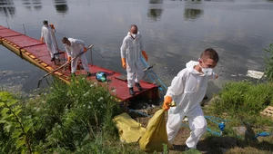 Wody Polskie chcą stworzyć inspekcję wodną. Wszystko przez skażenie Odry