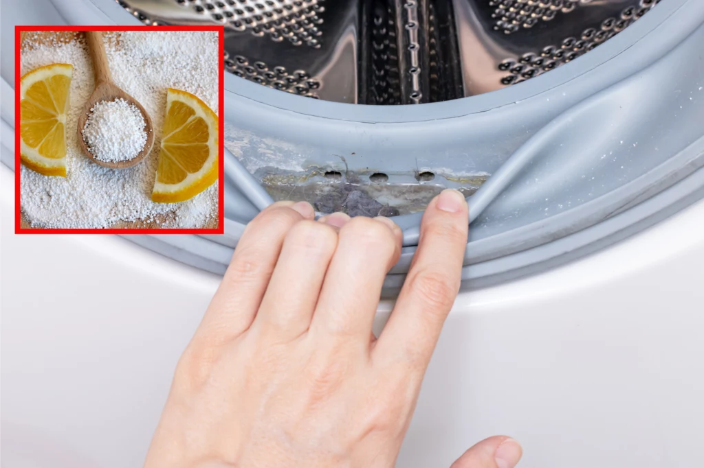 Kwasek cytrynowy pozwala pozbyć się zabrudzeń, które powstają w zakamarkach pralki