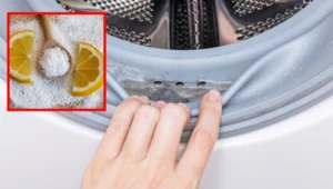 Co daje kwasek cytrynowy podczas prania? Efekt jest niesamowity!