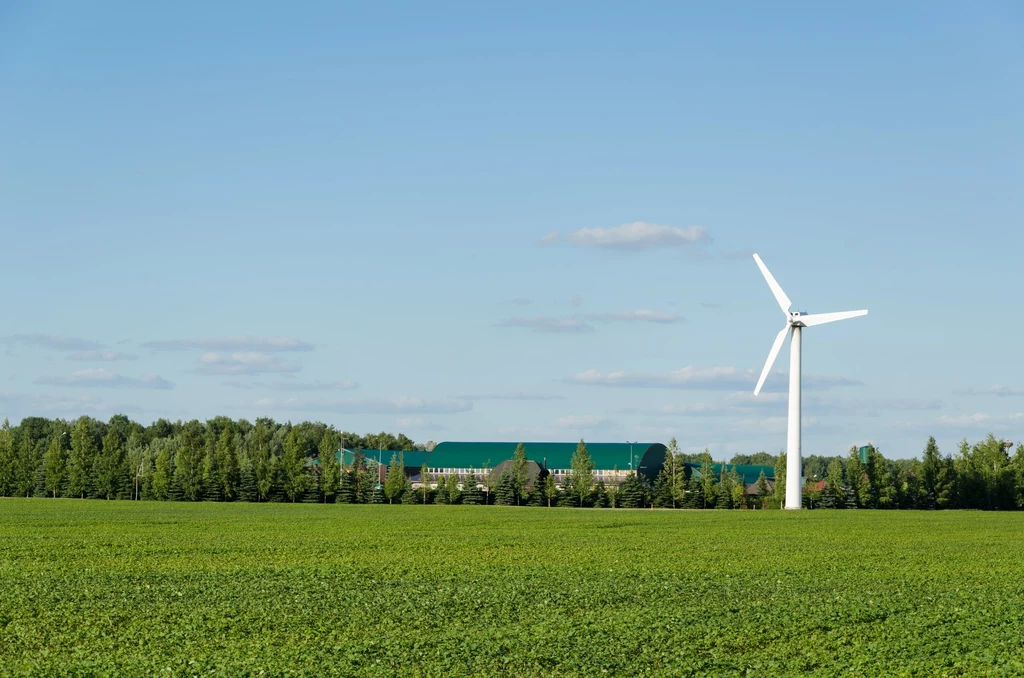 Użycie energii wiatru do zasilania gospodarstw domowych staje się coraz popularniejsze. Polska czeka na zmiany umożliwiające bezpieczny rozwój tej technologii