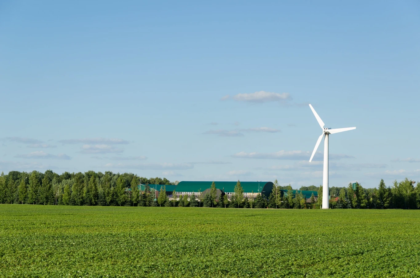 Użycie energii wiatru do zasilania gospodarstw domowych staje się coraz popularniejsze Użycie energii wiatru do zasilania gospodarstw domowych staje się coraz popularniejsze