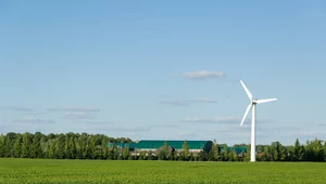 Rozwój energetyki wiatrowej w Polsce. Pilny apel do polityków