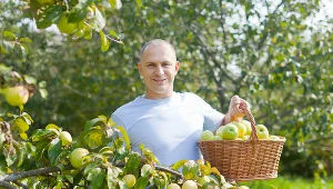 Sadownicy oczekują zamrożenia cen energii i dopłat do przechowywania owoców