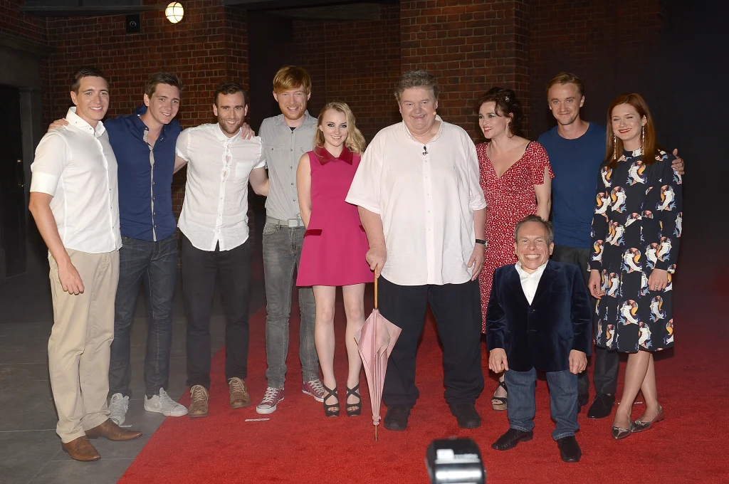 Obsada filmu "Harry Potter" Obsada filmu "Harry Potter"