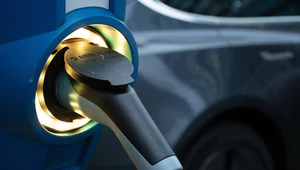 "Auta w domach będą ładowane głównie w godzinach wieczornych, czyli w szczycie zużycia energii"