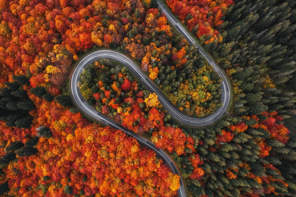 Fotograf Kuba Witos uchwycił na zdjęciach magiczne kolory złotej polskiej jesieni. Fotografie wykonano w Tatrach, w okolicach Zakopanego