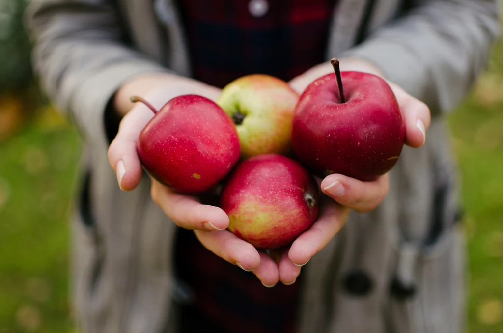 Według polskich badaczy w jabłkach i cytrusach sprzedawanych w Polsce jest coraz mniej groźnych pestycydów 
