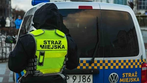 Strażnik miejski może wlepić mandat nie tylko za parkowanie