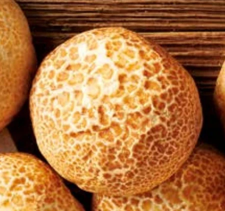 Bułka Piekarnia Lidla