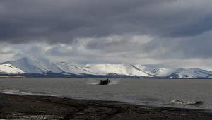 Morze Beringa, zdj. ilustracyjne