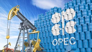 Rynki obserwują OPEC 