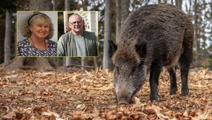 Kobieta nie żyje, jej partner usłyszał zarzut