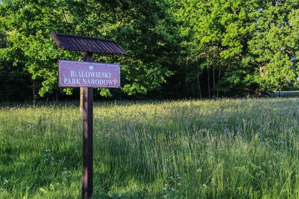 Białowieski Park Narodowy należy do dziedzictwa UNESCO