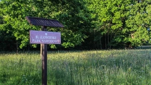 Białowieski Park Narodowy należy do dziedzictwa UNESCO