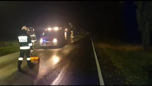 Strażacy usuwający plamę z jezdni 