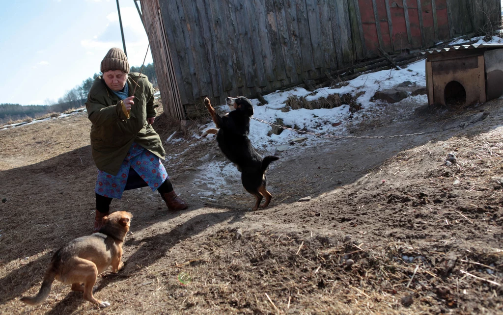 W wielu polskich gospodarstwach psy są trzymane na łańcuchu całe życie