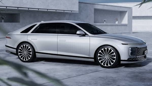 Hyundai Grandeur zaskakuje swoją stylistyką. Niestety są też złe wieści 