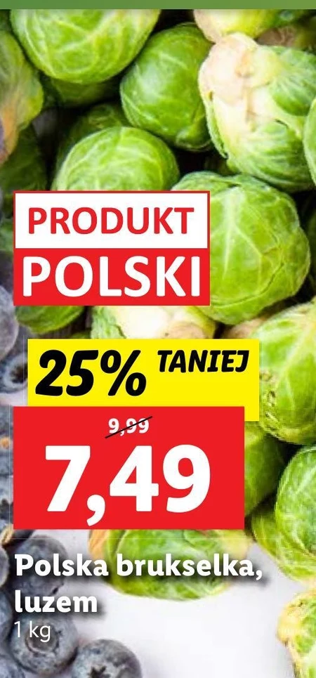 Brukselka Ryneczek Lidla