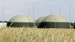 Polski biogaz to energia odnawialna za darmo