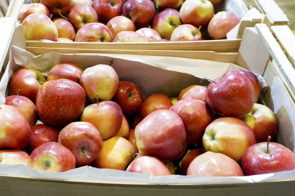 Odpowiednie przechowywanie jabłek na zimę sprawi, że będą one smaczne na wiosnę