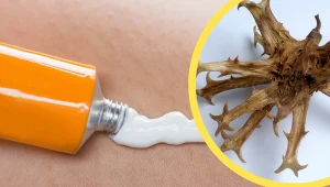 Często można się natknąć na maści i żele z czarcim pazurem. Wyjaśniamy, jakie właściwości posiada ta roślina