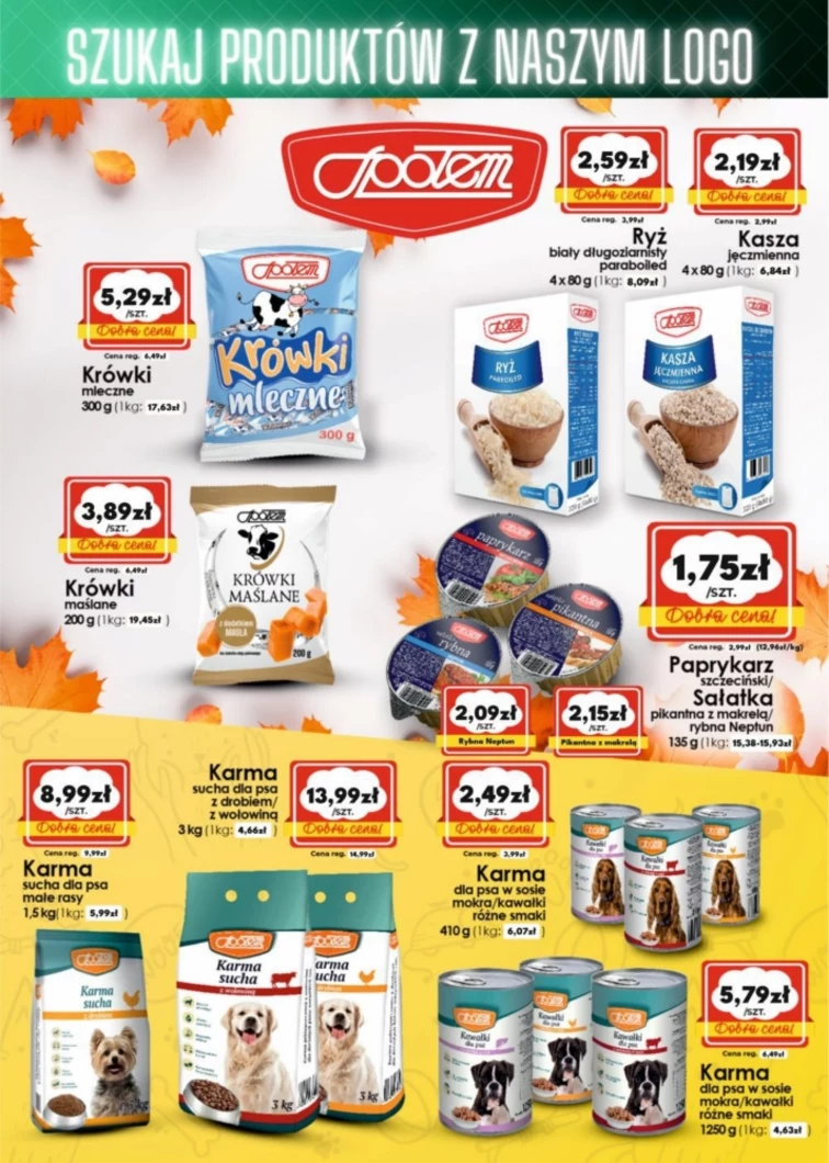 leaflet page preview image