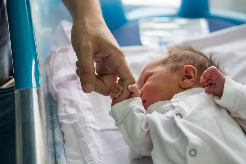 Imię Honorata opisuje kobietę pewną siebie, z silnym charakterem, która dobrze sobie radzi w życiu