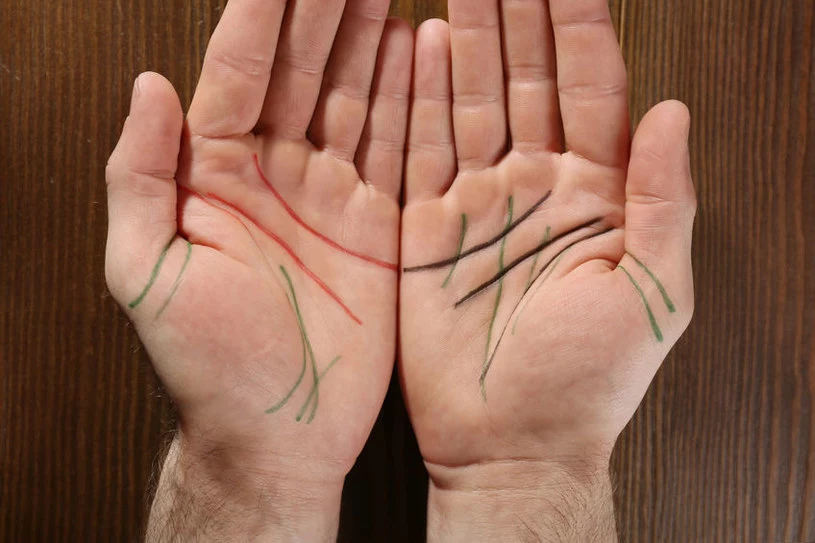 Linie na dłoniach - jak z nich czytać? 