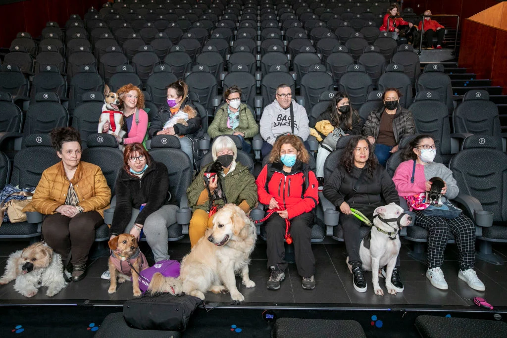Psy też chodzą do kina