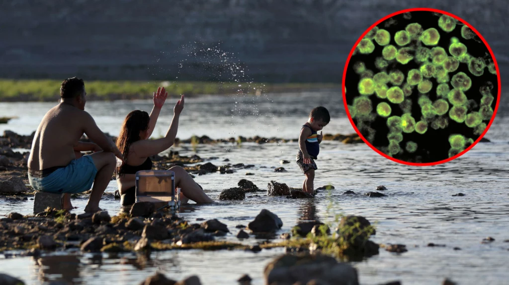 Pasożyt Naegleria fowleri mógł zainfekować chłopca podczas kąpieli w jeziorze Mead
