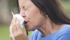 Na pieniądze, seks albo przyjazd gości. Niesamowite, dlaczego kichamy