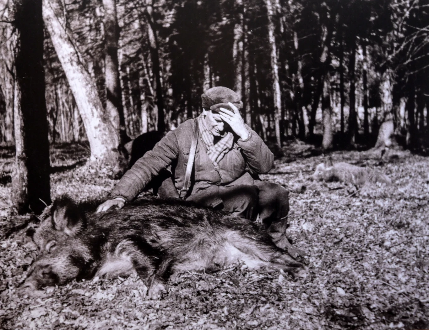 Fotografia z wystawy " Domowroty" w Krakowie Fotografia z wystawy " Domowroty" w Krakowie