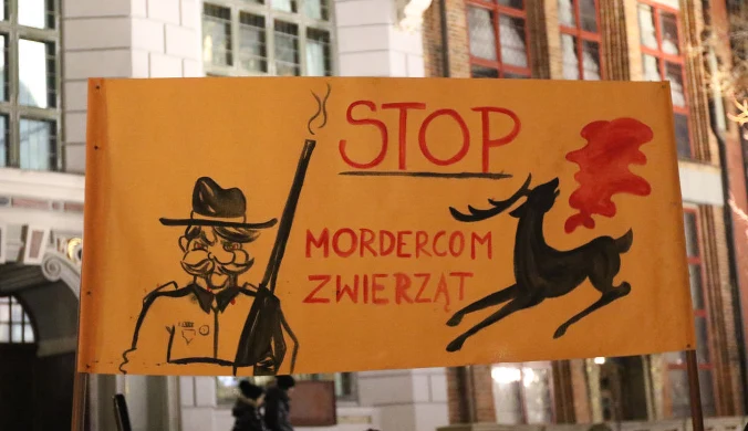Czy myśliwi i ekolodzy mogą dojść do porozumienia? 