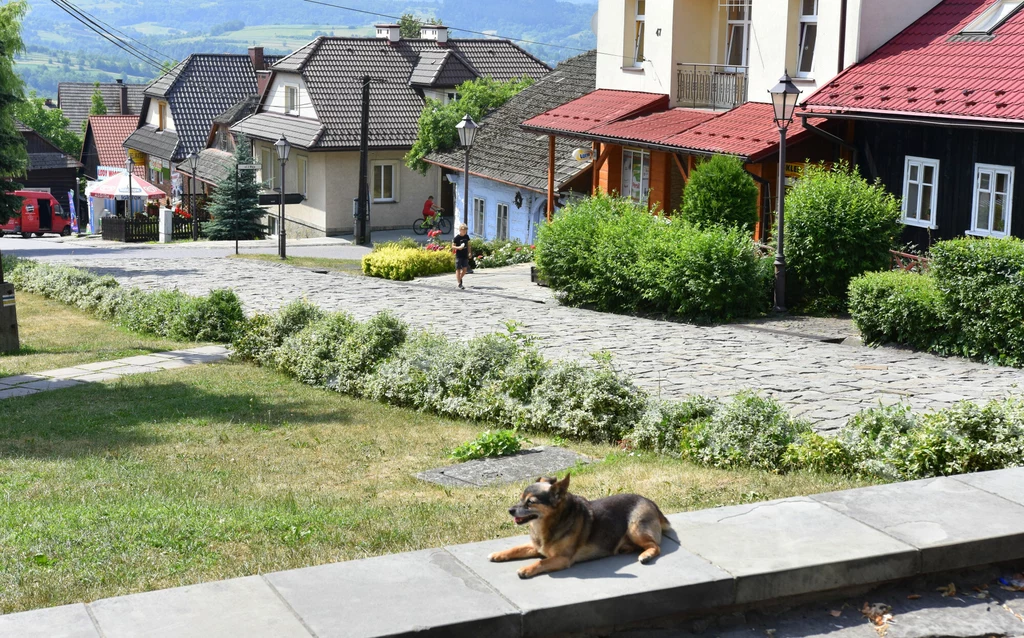 Z Kalwarii Zebrzydowskiej jest blisko do urokliwej Lanckorony