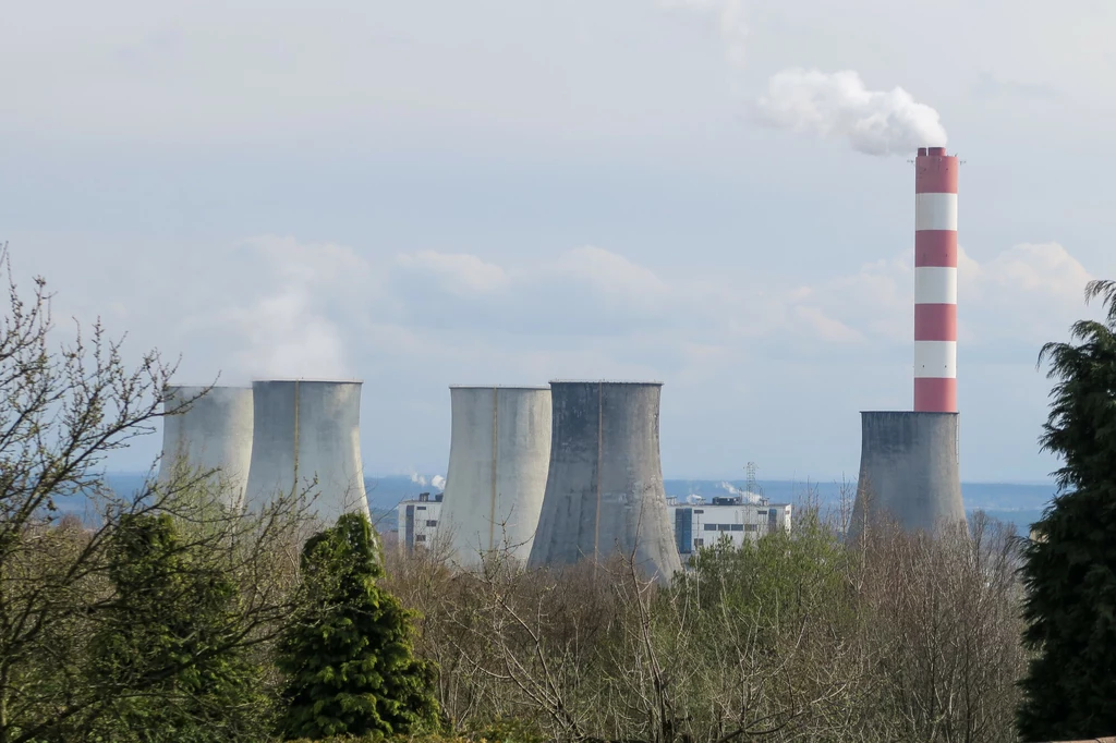 W elektrowni Łaziska doszło do tragicznego wypadku. Ranna jest pracownica W elektrowni Łaziska doszło do tragicznego wypadku. Ranna jest pracownica