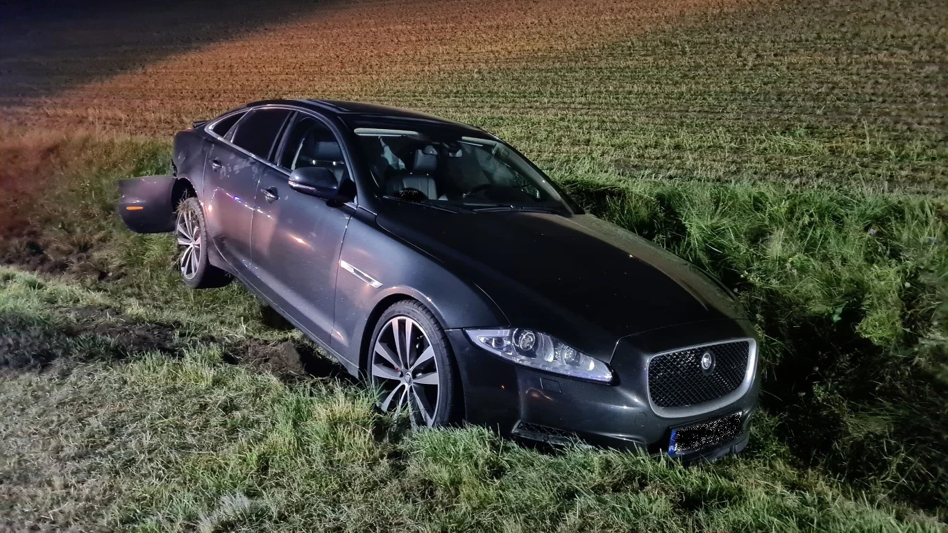 W zdarzeniu brał też udział Jaguar W zdarzeniu brał też udział Jaguar